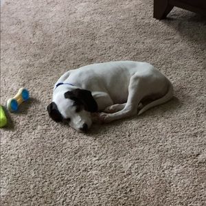 Meet your Posher, Tracey